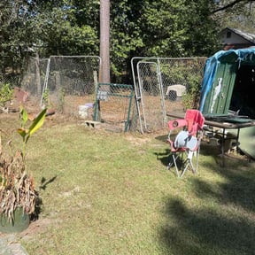 Leaf Removal by Round the world lawn care reviewed on December 8, 2024