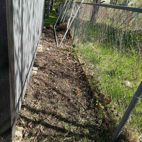 Cleanups by Edge to Edge Services 591 reviewed on April 5, 2025