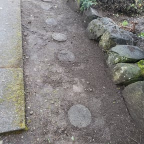 Flower Bed Weeding by Empire Lawn Care &amp; Tree Trimming reviewed on November 24, 2021