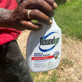 Flower Bed Weeding by QCK SOLUTIONS LLC reviewed on May 31, 2025