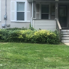 Bush Trimming by Dem Boyz N Girlz Lawn Services reviewed on May 30, 2025