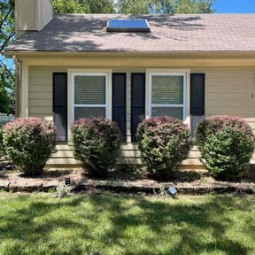 Bush Trimming by LSLTDallas/FortWorthTruGreen reviewed on May 15, 2025