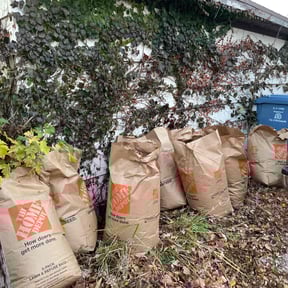 Leaf Removal by Premier lawn solutions reviewed on July 27, 2025