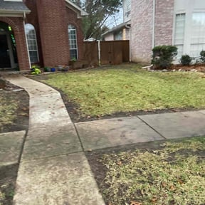 Leaf Removal by The Kadyebo way reviewed on October 7, 2021