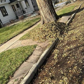 Leaf Removal by Perea Lawn & Sprinkler Service reviewed on May 1, 2021