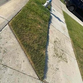 Cleanups by The lawn Guy reviewed on October 28, 2024