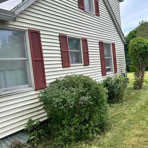 Bush Trimming by Cherry Lawncare reviewed on April 11, 2022