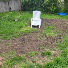Cleanups by Greenview Lawn Solutions llc reviewed on June 7, 2022
