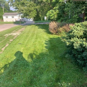 Cleanups by Allen&#039;s Lawn Care reviewed on June 20, 2024