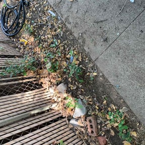 Leaf Removal by Iibog reviewed on April 26, 2022
