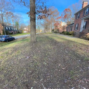 Leaf Removal by Precision Lawn Experts reviewed on March 10, 2025
