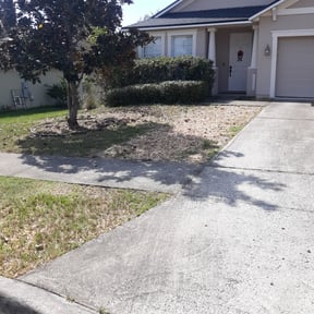 Bush Trimming by Monique's Quality Services reviewed on June 28, 2022