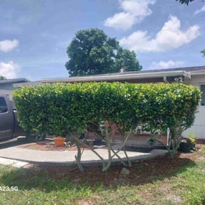 Bush Trimming by ShiftChange LLC Lawn Service reviewed on December 14, 2021