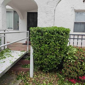 Bush Trimming by K&G Lawncare reviewed on November 3, 2021