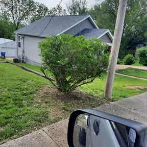 Bush Trimming by Time's lawn care reviewed on March 14, 2023