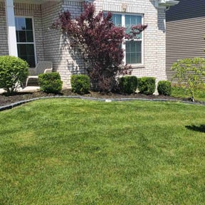 Bush Trimming by Lawn Salon Property Management LLC reviewed on July 10, 2022