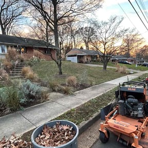 Leaf Removal by Green Sun, Inc. reviewed on November 20, 2024