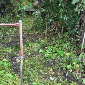 Cleanups by Dawg Landscaping Services reviewed on February 3, 2025