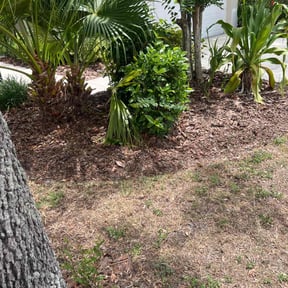 Flower Bed Weeding by Achieving the dream llc reviewed on August 8, 2025