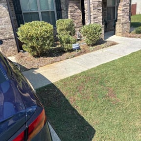 Bush Trimming by Q&R landscaping solutions reviewed on June 11, 2022