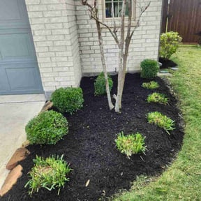 Bush Trimming by Triple "s" services reviewed on April 24, 2025