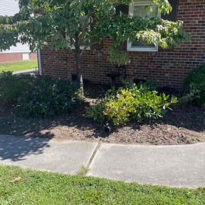 Flower Bed Weeding by Stephenson&#039;s Landscaping reviewed on August 3, 2022