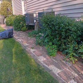 Weeding by Armstrong's Lawn Care Plus reviewed on October 12, 2024