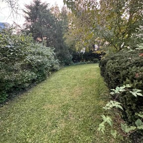 Bush Trimming by SANTOS LAWN CARE reviewed on June 15, 2022