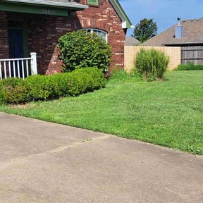 Landscaping by JAE TEAM Corporation reviewed on May 9, 2025