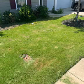 Bush Trimming by Stephens Lawn Care reviewed on May 31, 2022