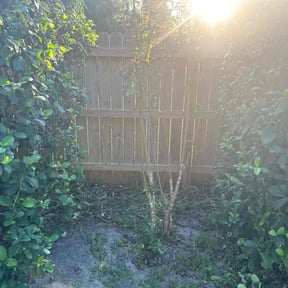 Bush Trimming by Hector&#039;s Lawn Care reviewed on May 14, 2025