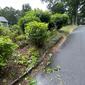 Bush Trimming by Just us landscaping LLC reviewed on July 7, 2022