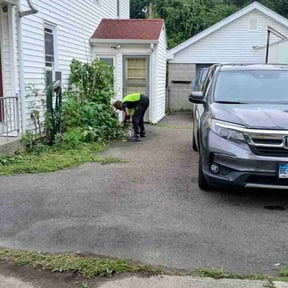 Bush Trimming by Razo Rigo landscaping reviewed on March 25, 2022