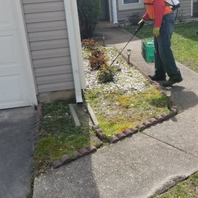 Landscaping by Type A Lawn Guy reviewed on July 8, 2025