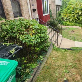 Bush Trimming by Taylor outdoors living reviewed on March 29, 2022