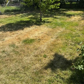Weeding by D&G Landscape reviewed on June 15, 2022