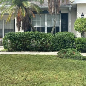 Bush Trimming by Lazy Palms Service&#039;s reviewed on June 7, 2022