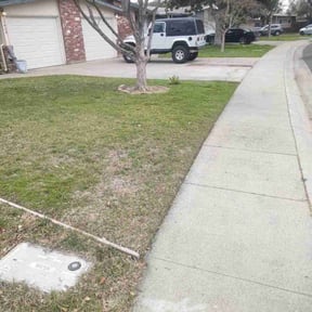 Leaf Removal by Tommy T's Quick Qlips reviewed on May 19, 2025