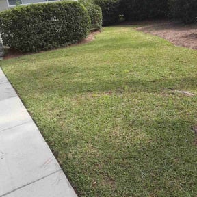 Leaf Removal by Bryan lawn care llc reviewed on August 9, 2025