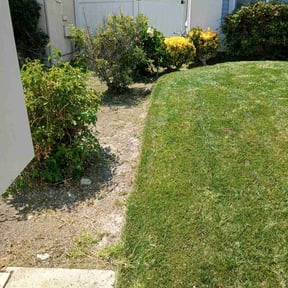 Flower Bed Weeding by Forever Green FG LLC reviewed on April 22, 2025