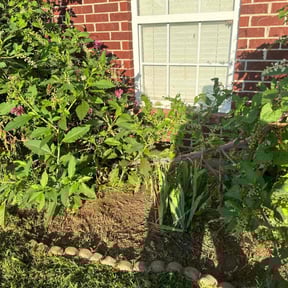 Flower Bed Weeding by MrGoGiver Property Maintenance & Restoration Solutions reviewed on November 28, 2024