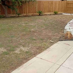Cleanups by Parker Landscape & Maintenance reviewed on June 25, 2025