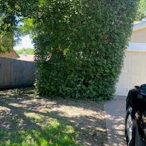 Bush Trimming by F.P.L Full Property Landscape reviewed on June 21, 2022