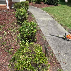 Bush Trimming by Larkins inc reviewed on June 10, 2022