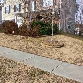 Leaf Removal by Jackson of All Trades reviewed on July 6, 2022
