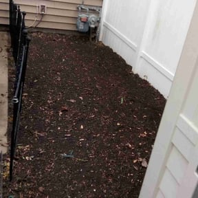 Flower Bed Weeding by RW Property Solutions reviewed on July 1, 2025