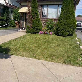 Bush Trimming by Krahns Lawn Services reviewed on May 20, 2022