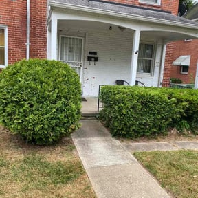 Bush Trimming by Short Guy Inc Home Services reviewed on June 15, 2025