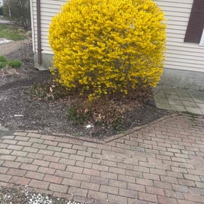 Leaf Removal by Ty-D Landscaping LLC reviewed on August 5, 2022