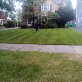 Bush Trimming by Mitchell's Home Solutions reviewed on May 25, 2025